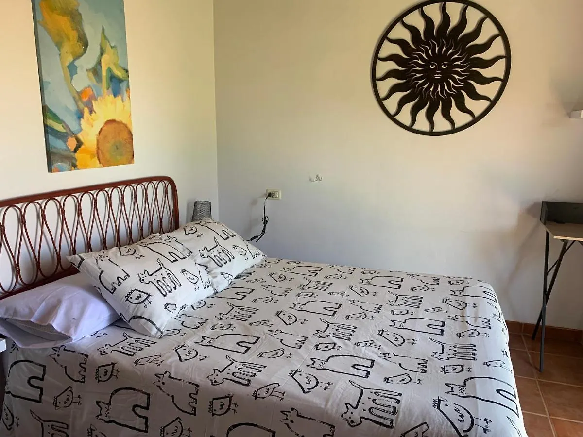 Eagle Studio San Miguel de Abona Spain
